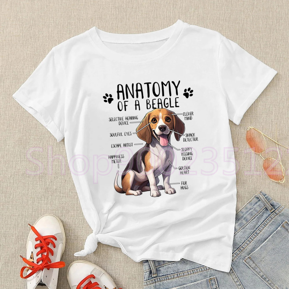 T-shirt Harajuku letnia oddych – Street Fashion Asian recenzja i cena